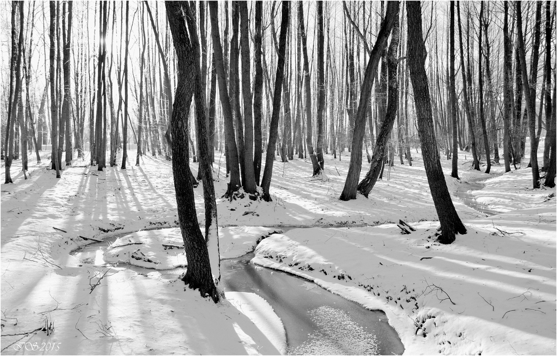 снег и солнце | Фотограф Игорь Сафонов | foto.by фото.бай