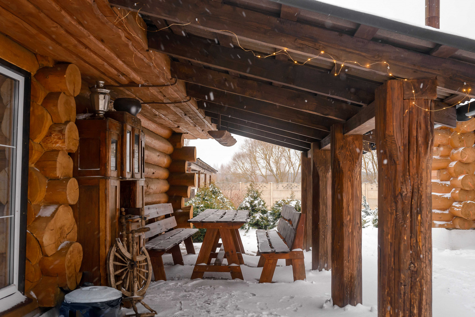 Фотограф Надежда Володько, фотография от 04.03.2026