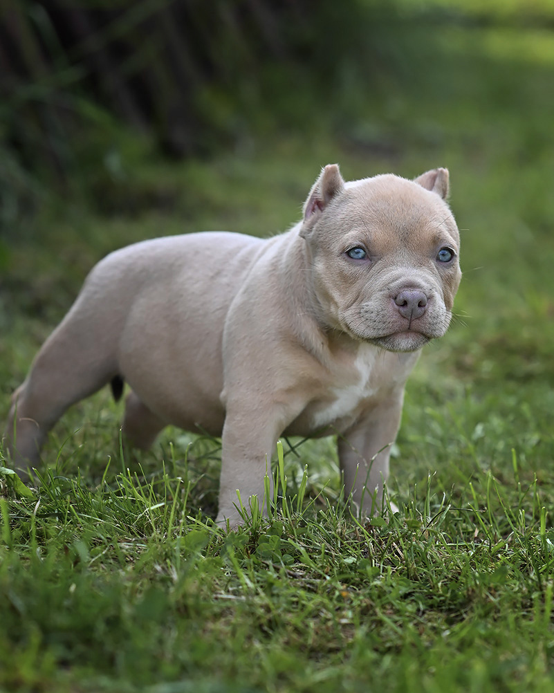 На модерацию | Фотограф Сергей Клеменок | foto.by фото.бай