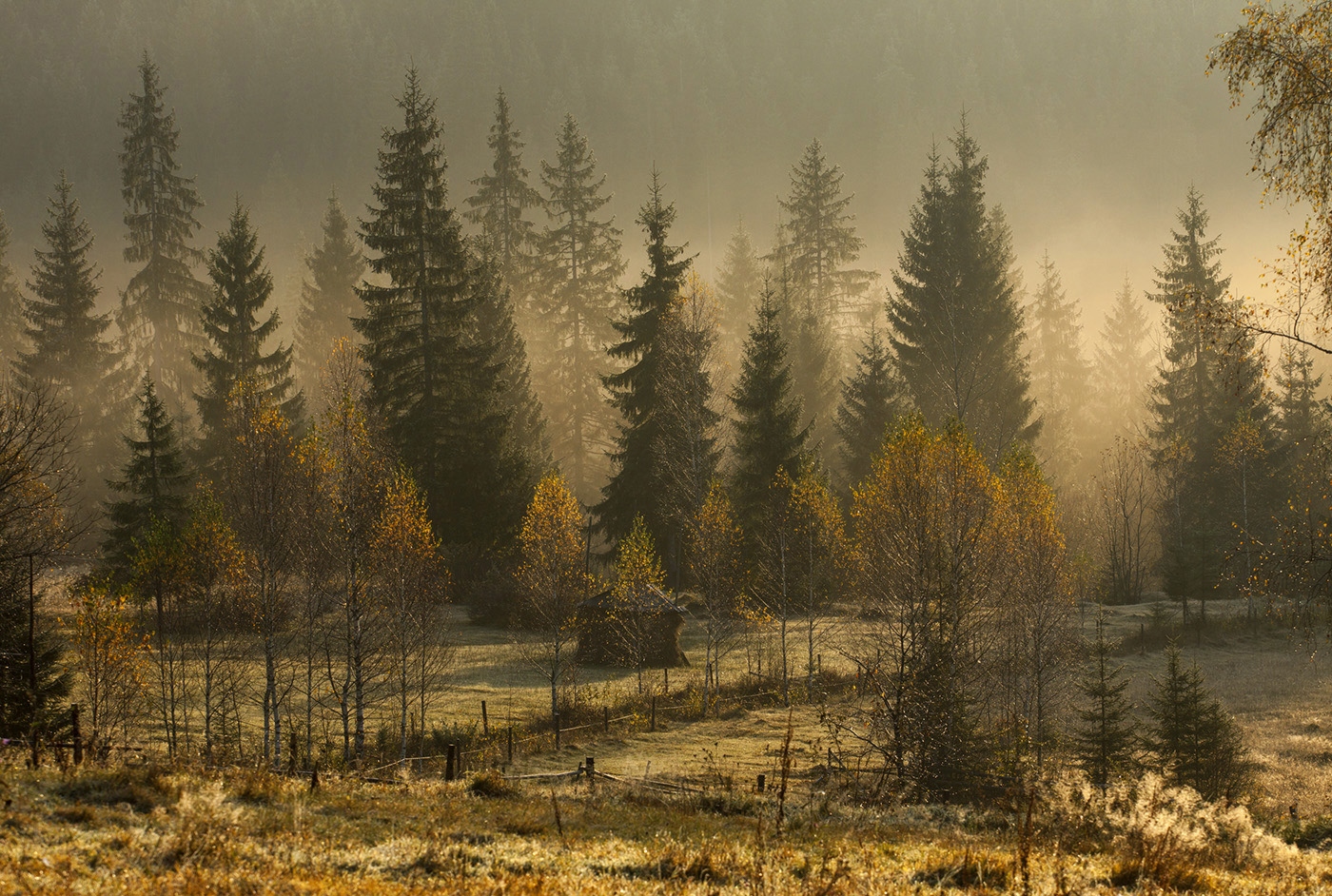 Осенний стелется туман... | Фотограф Михаил Глаголев | foto.by фото.бай