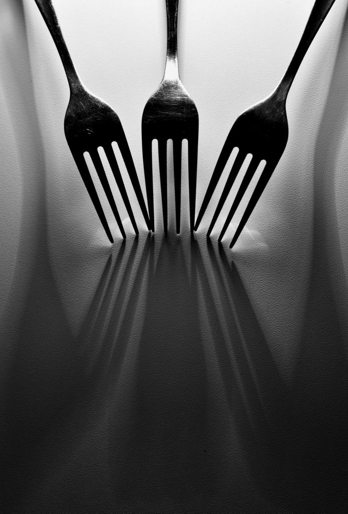 forks | Фотограф Альберт Салахов | foto.by фото.бай