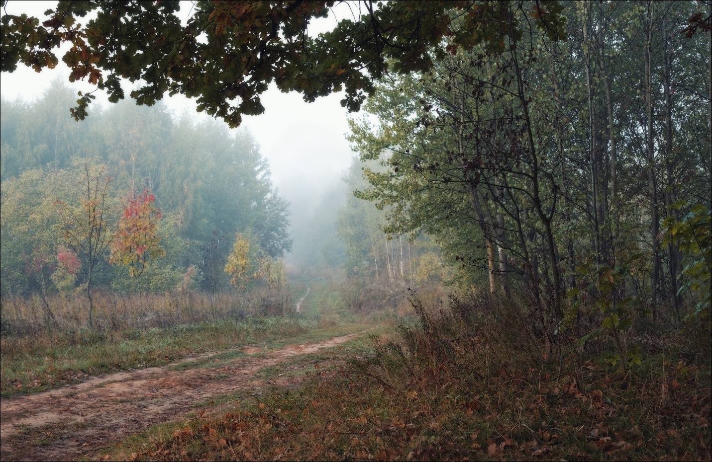 Осенние туманы | Фотограф Сергей Шабуневич | foto.by фото.бай