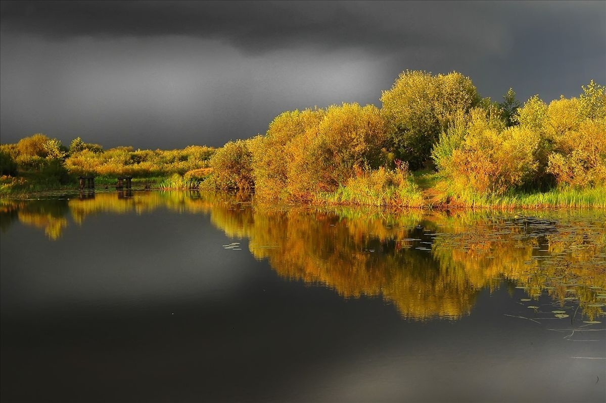 Перед грозой | Фотограф Игорь Денисов | foto.by фото.бай
