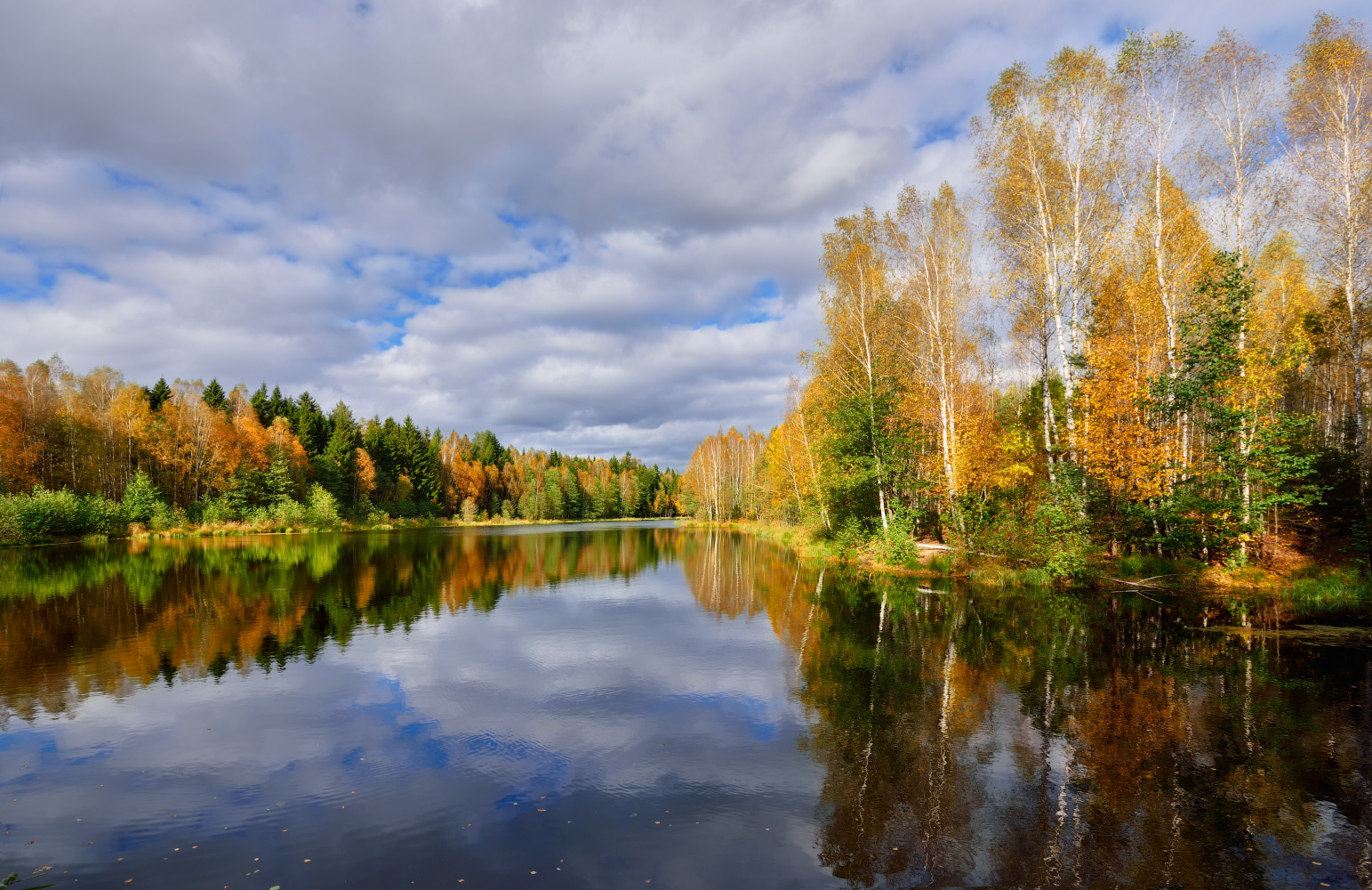 яркие краски осени | Фотограф Виталий Полуэктов | foto.by фото.бай