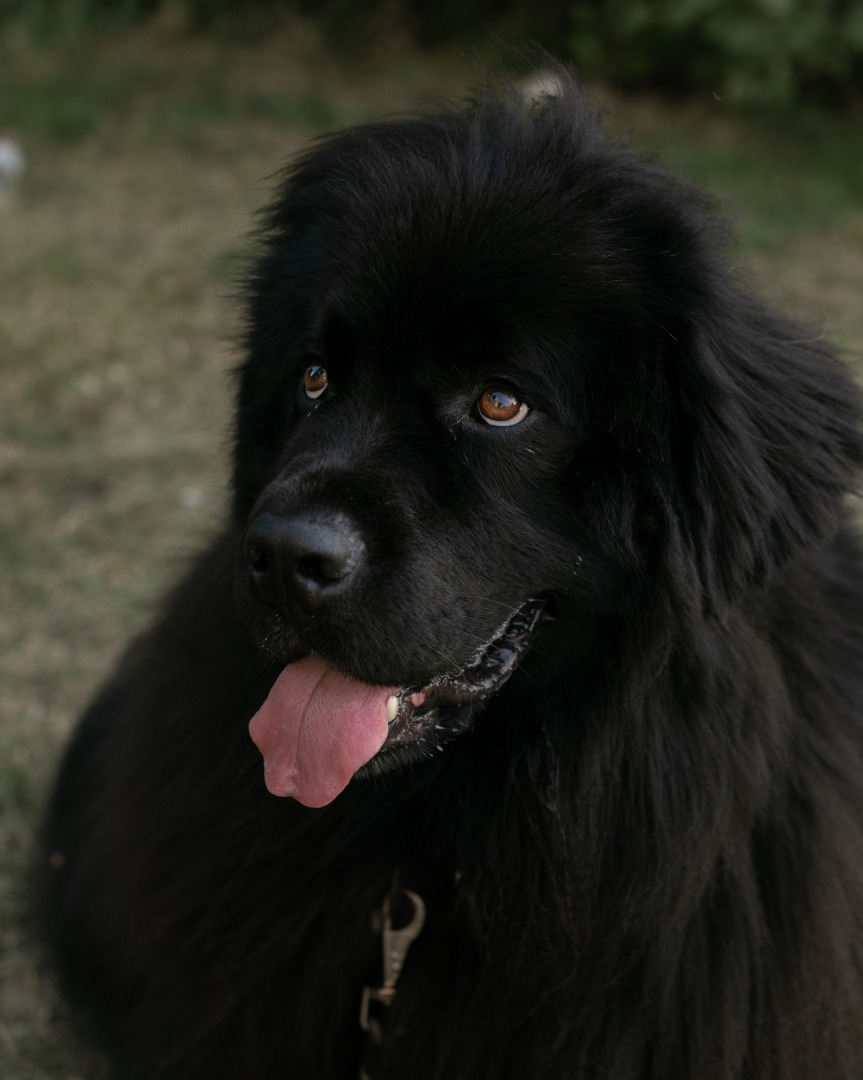 Фотограф для фотосессии, фотография от 14.10.2025