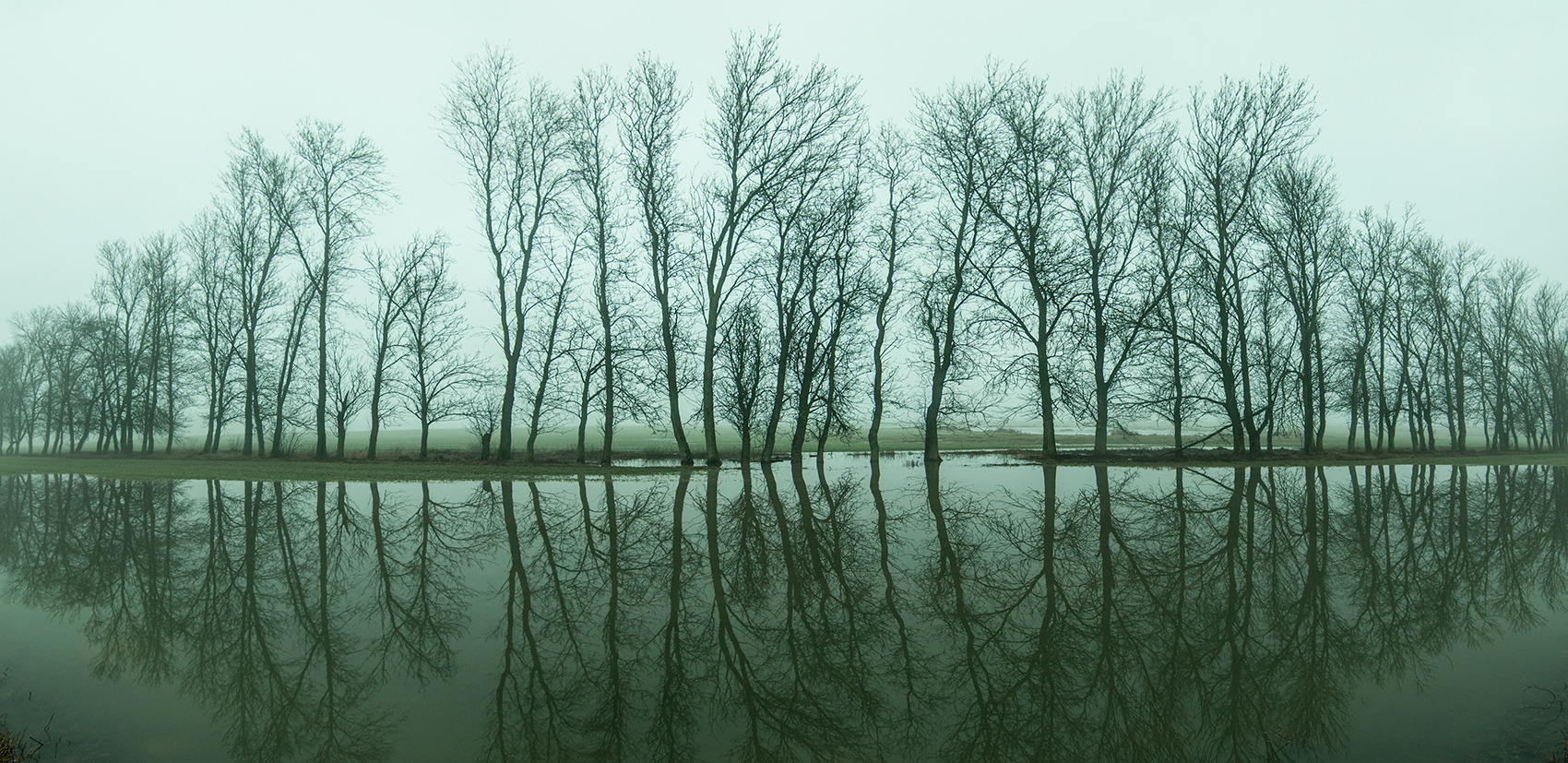 Вода, деревья... | Фотограф Андрей Семенков | foto.by фото.бай