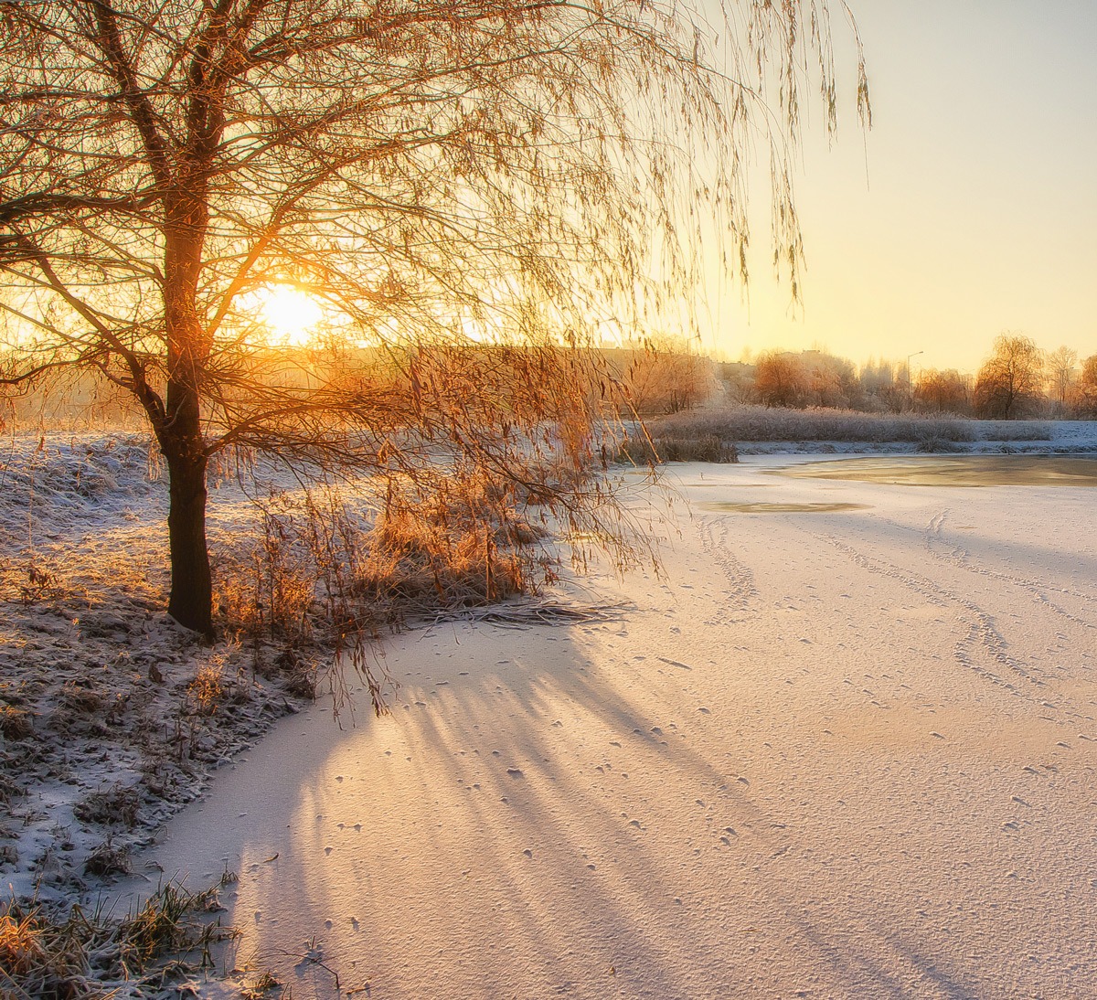 Зима в атмосферном парке | Фотограф Дима Карабинов | foto.by фото.бай