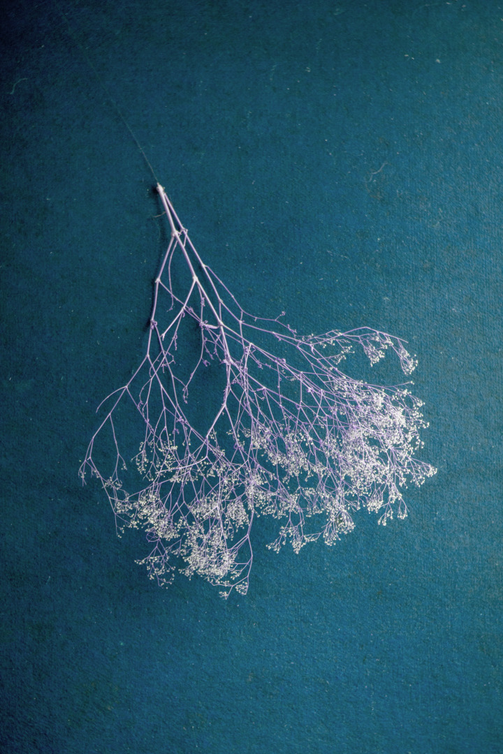 Фотограф Павел Есипенко, фотография от 02.01.2026