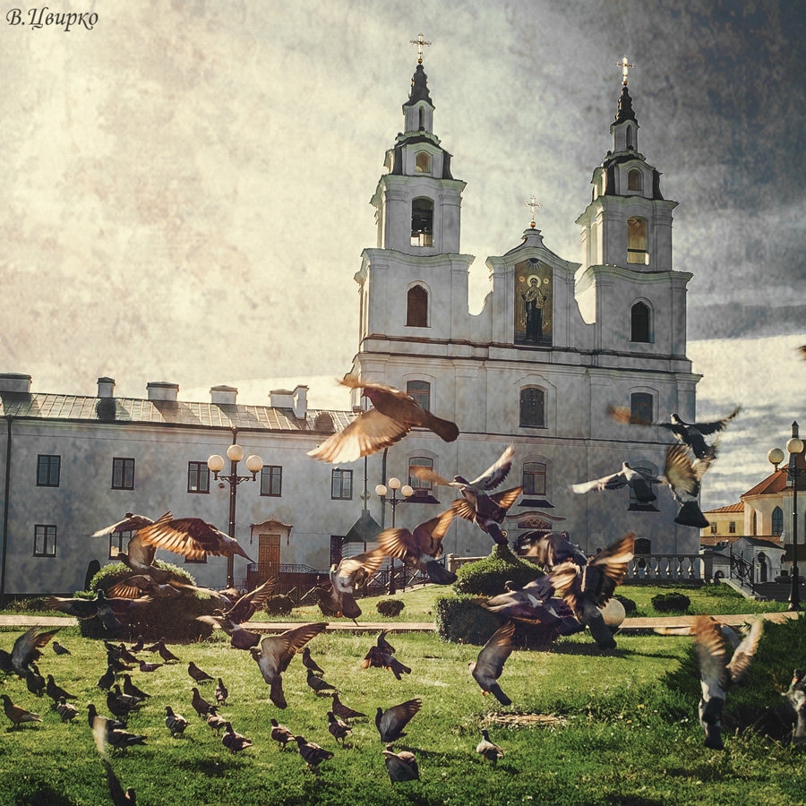 Птицы у храма... | Фотограф Валентина Цвирко | foto.by фото.бай