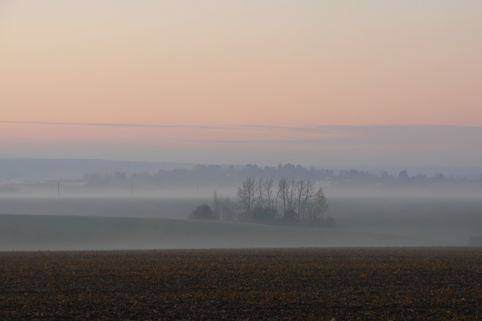 Тихое утро | foto.by фото.бай