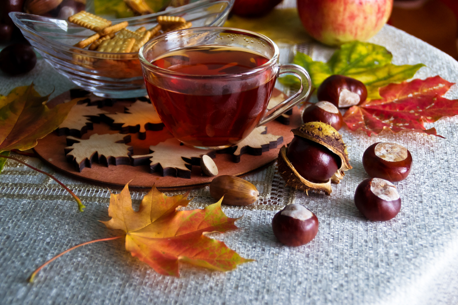 *** | foto.by фото.бай