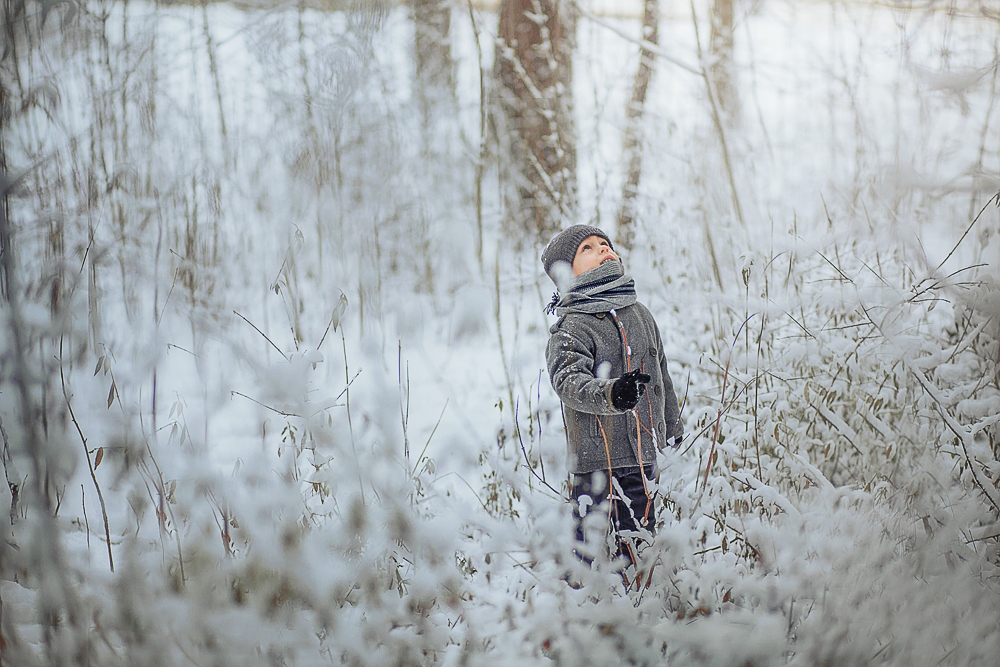 В снежном лесу | Фотограф Екатерина Захаркова | foto.by фото.бай