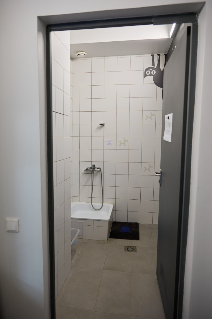 Фотограф Илья и Юлия Ширмановы, фотография от 17.12.2025