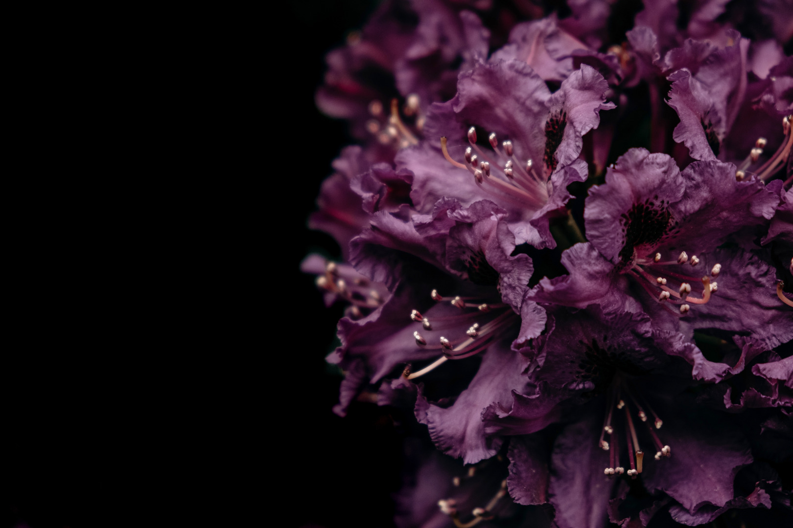 Фотограф Мария Войтик, фотография от 24.12.2025