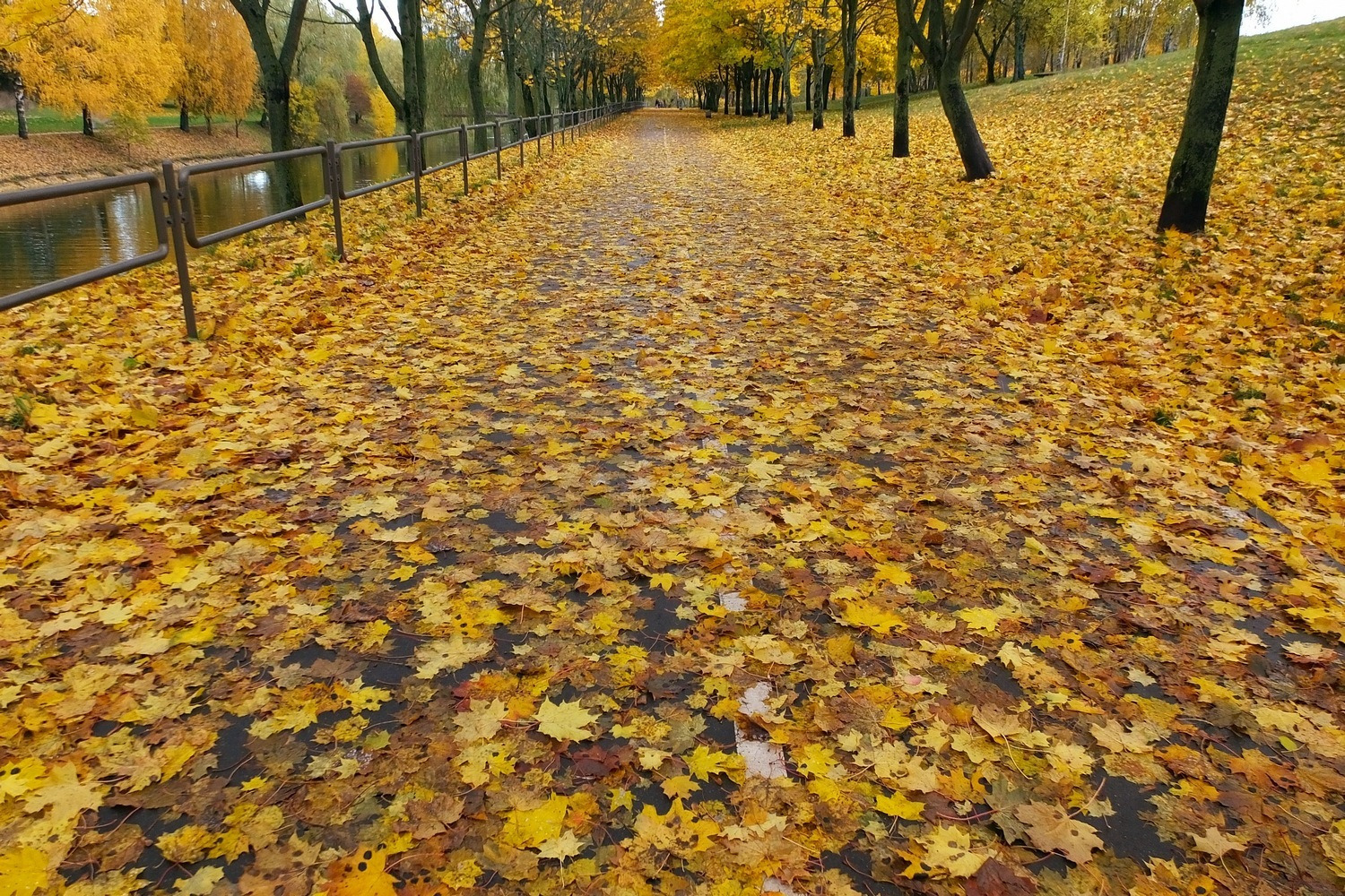 *** | Фотограф Ihar Karneichuk | foto.by фото.бай