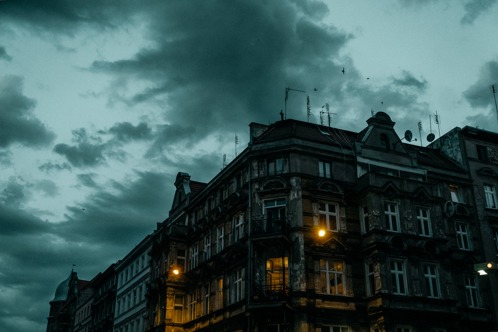 Фотограф Мария Войтик, фотография от 16.02.2026