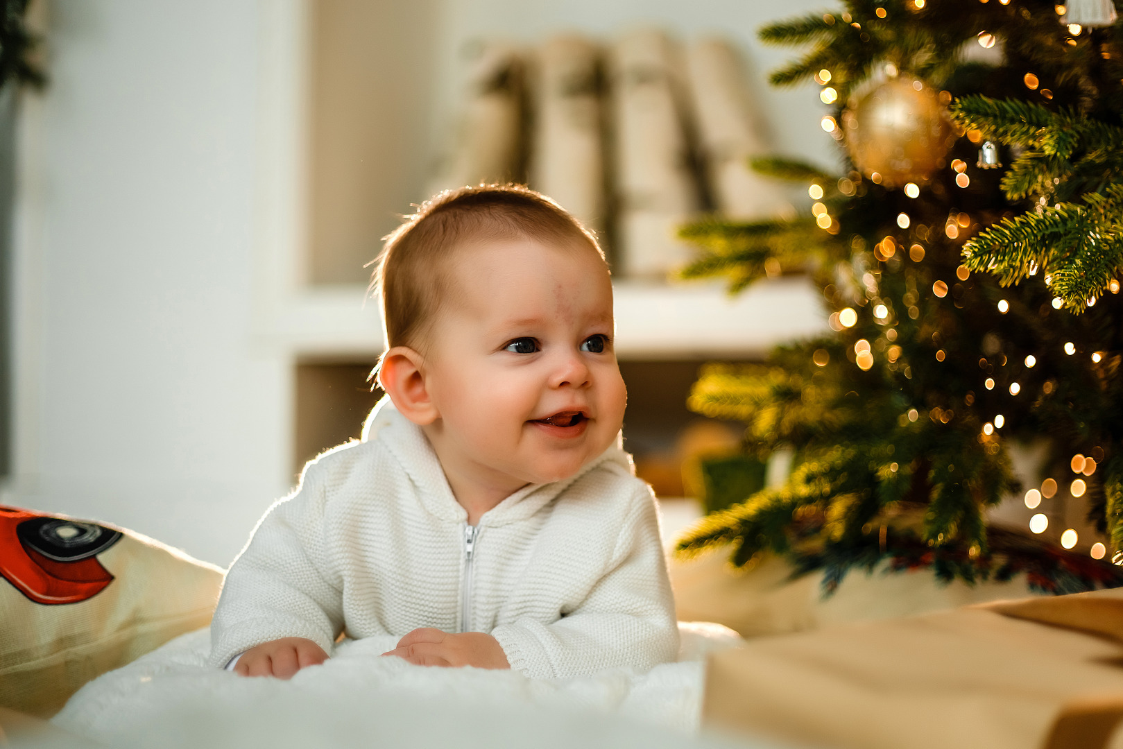 Фотограф Анастасия Лагуновская, фотография от 03.12.2025