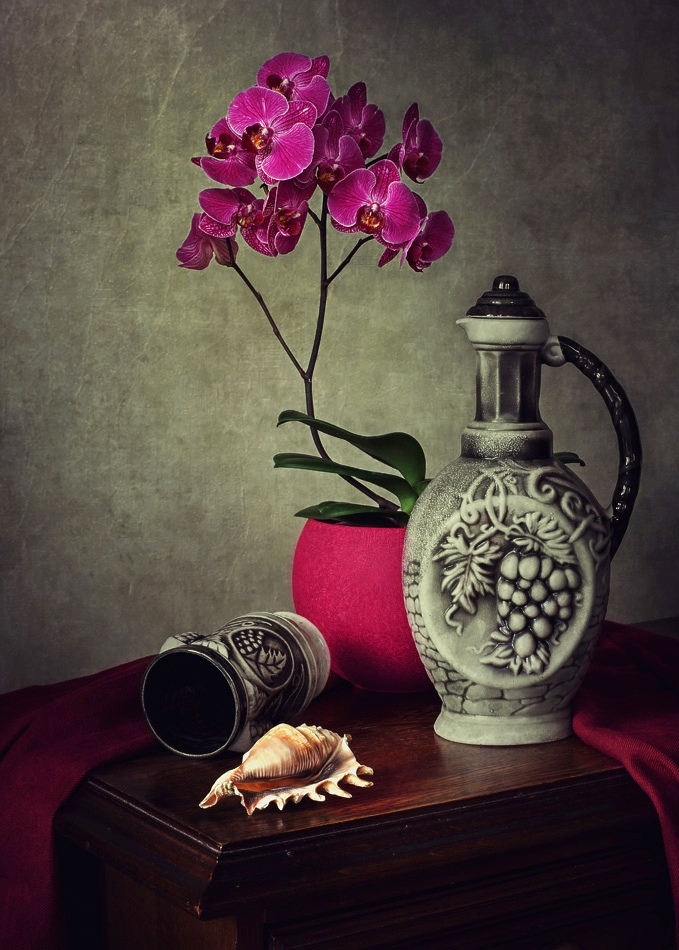 Сага об орхидее фаленопсис | Фотограф Ирина Приходько | foto.by фото.бай