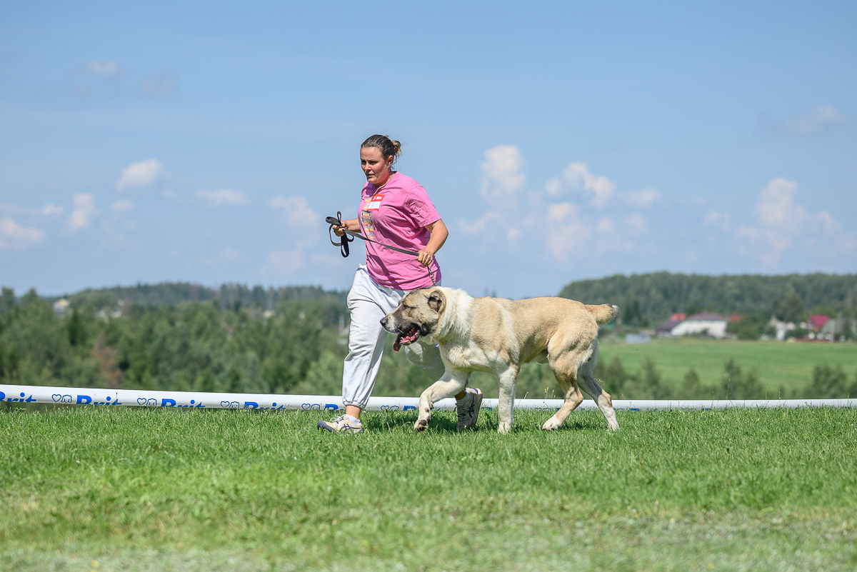 Контент-фотограф, промышленный фотограф, фотограф животных в городе Минск - Сергей Клеменок, фотография от 17.02.2026