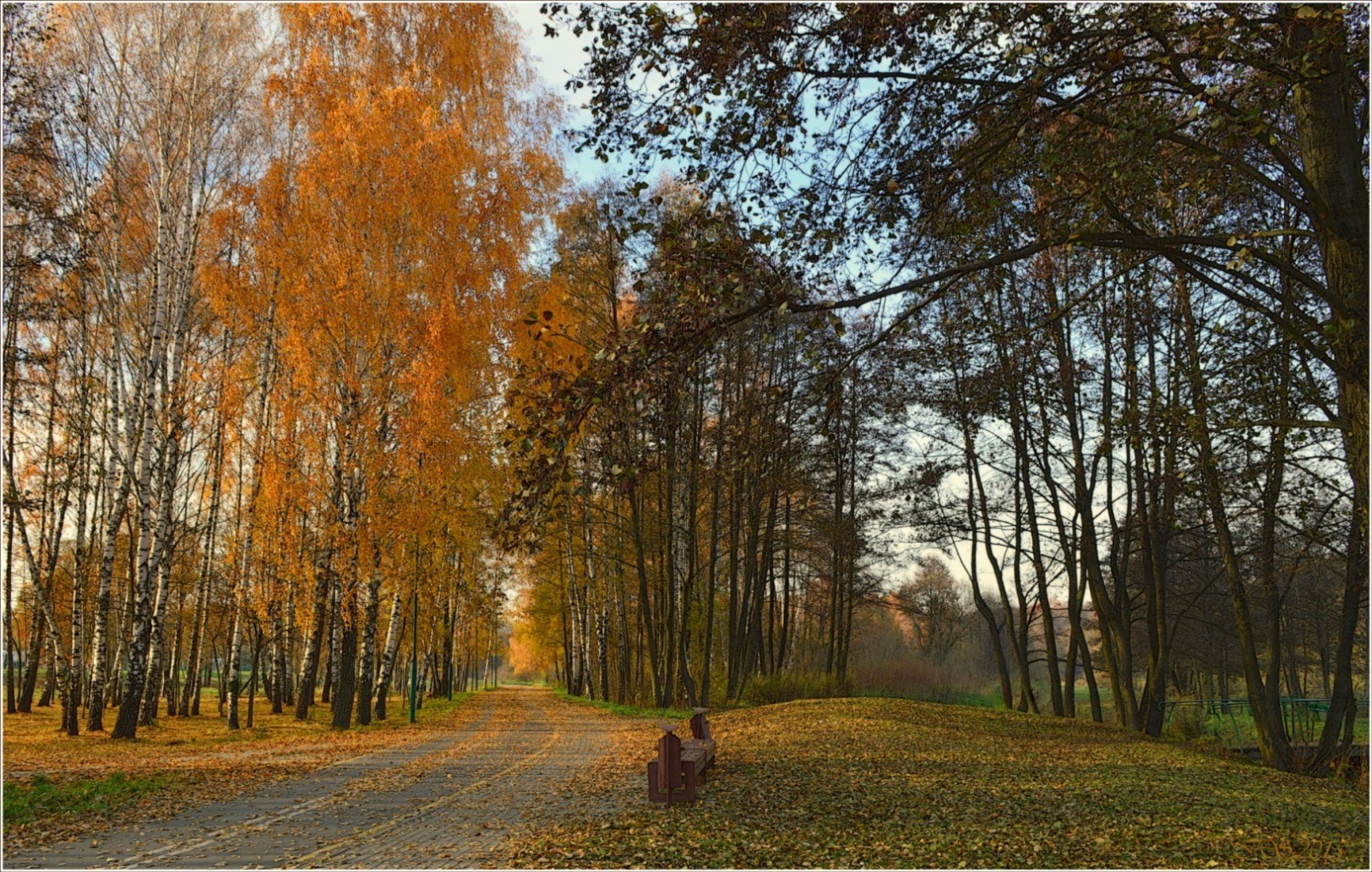 по осенней велодорожке | Фотограф Игорь Сафонов | foto.by фото.бай