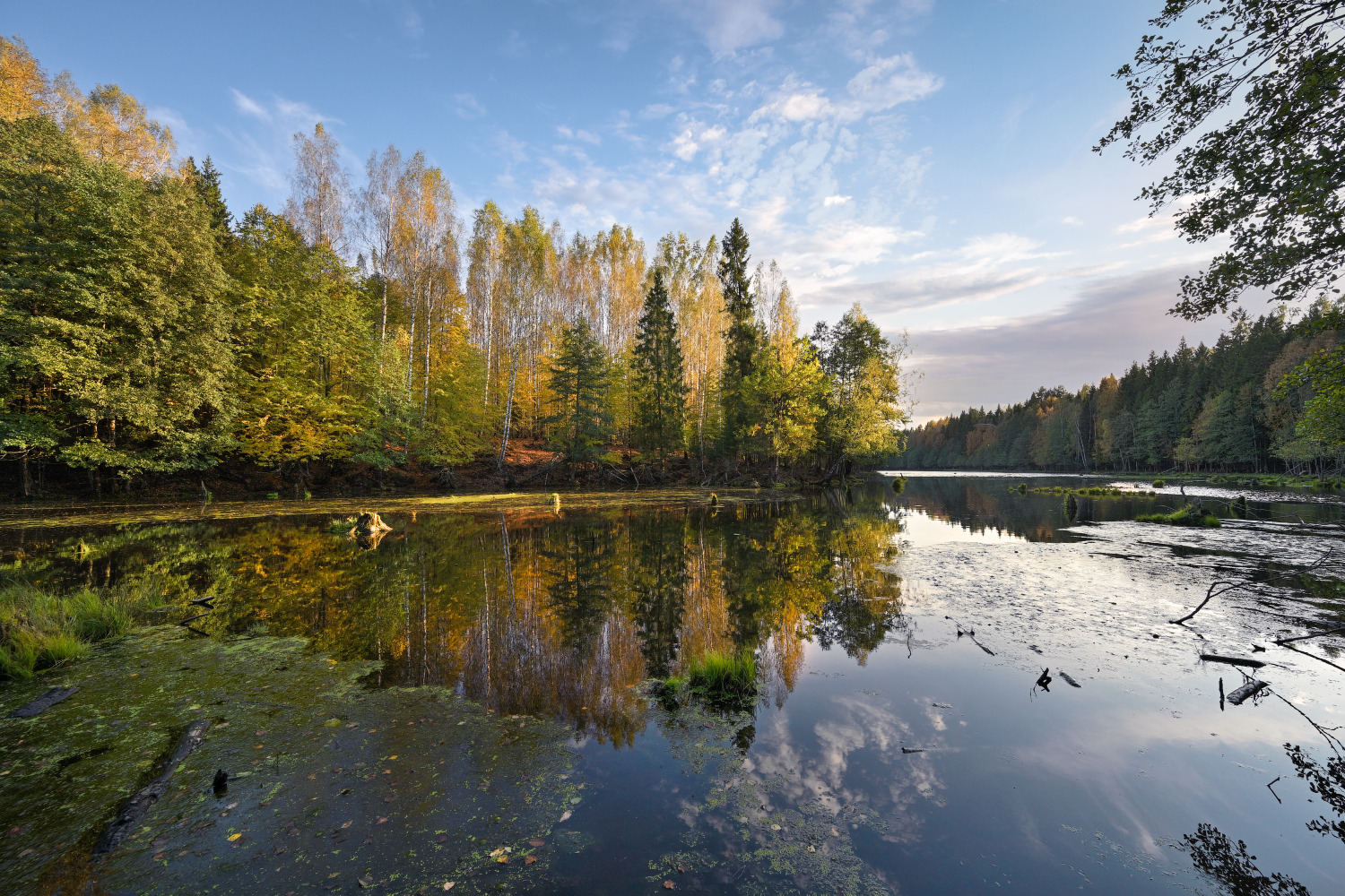 краски сентября | Фотограф Виталий Полуэктов | foto.by фото.бай