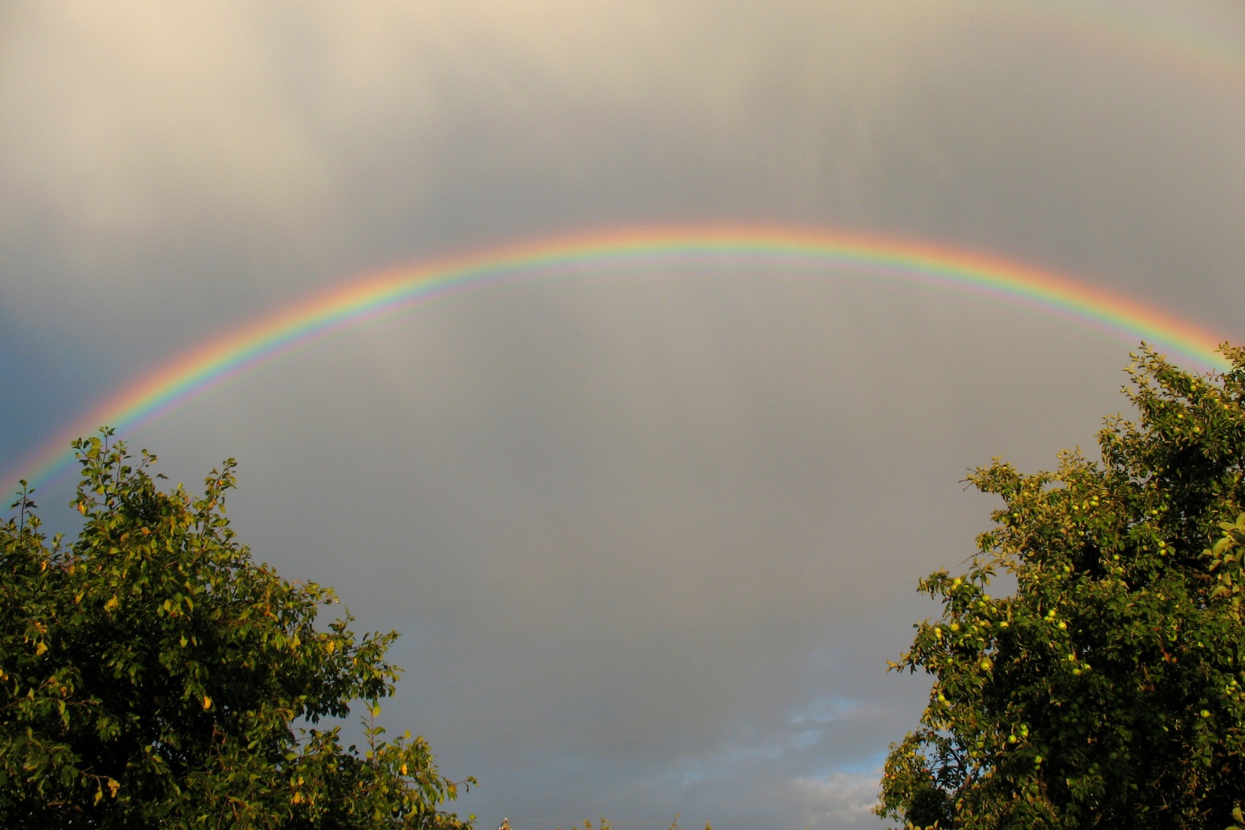 2 радуги | Фотограф Алёна Солнечная | foto.by фото.бай