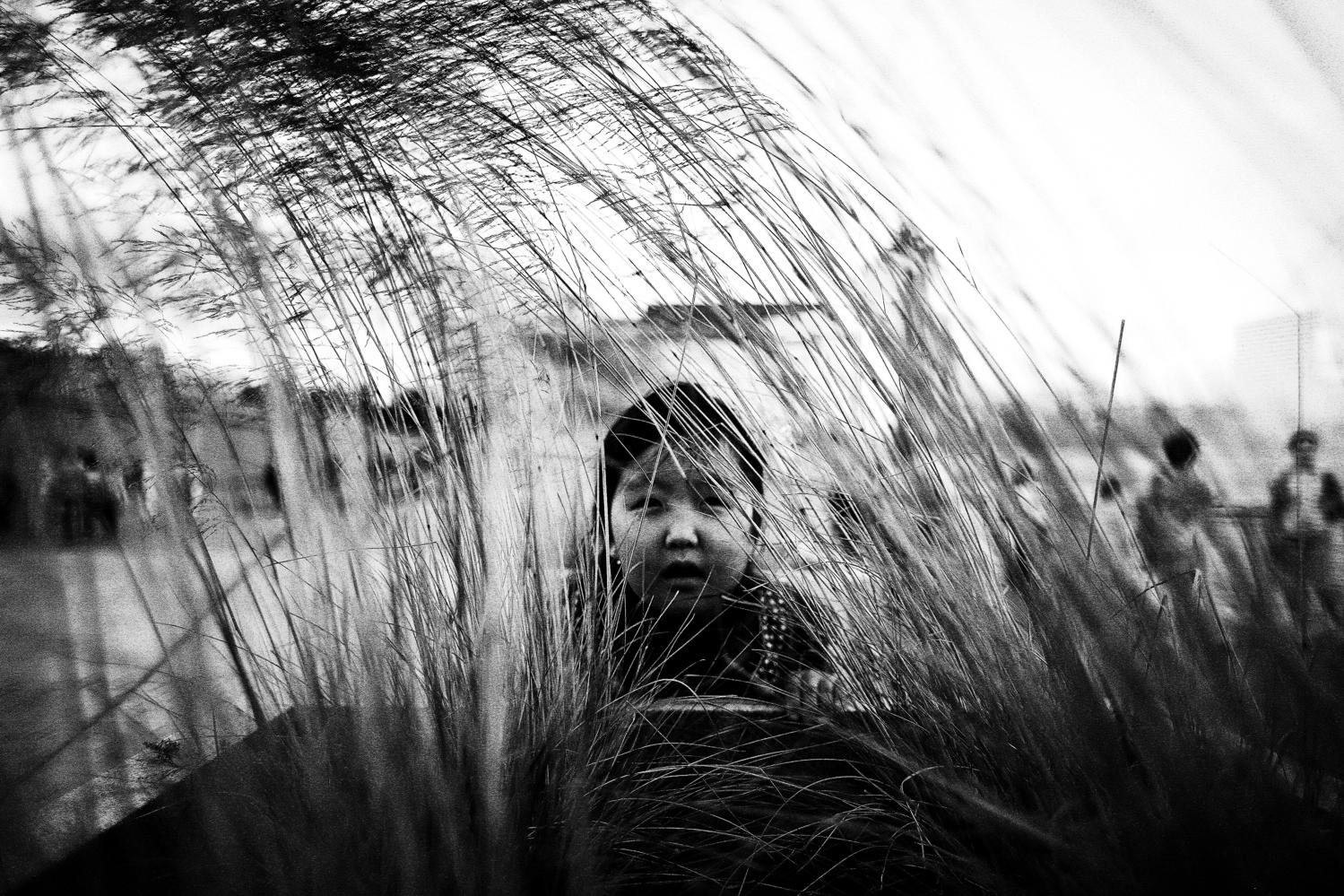 в траве | Фотограф урал КЗН | foto.by фото.бай