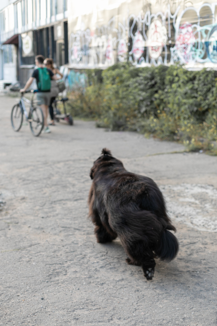 Фотограф для фотосессии, фотография от 14.10.2025