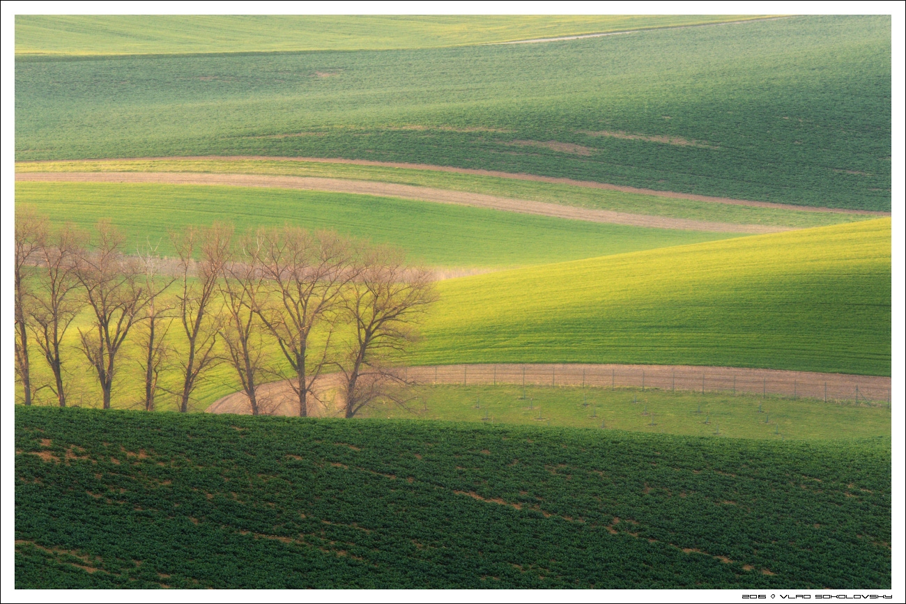 / Весна в Южной Чехии / | Фотограф Влад Соколовский | foto.by фото.бай