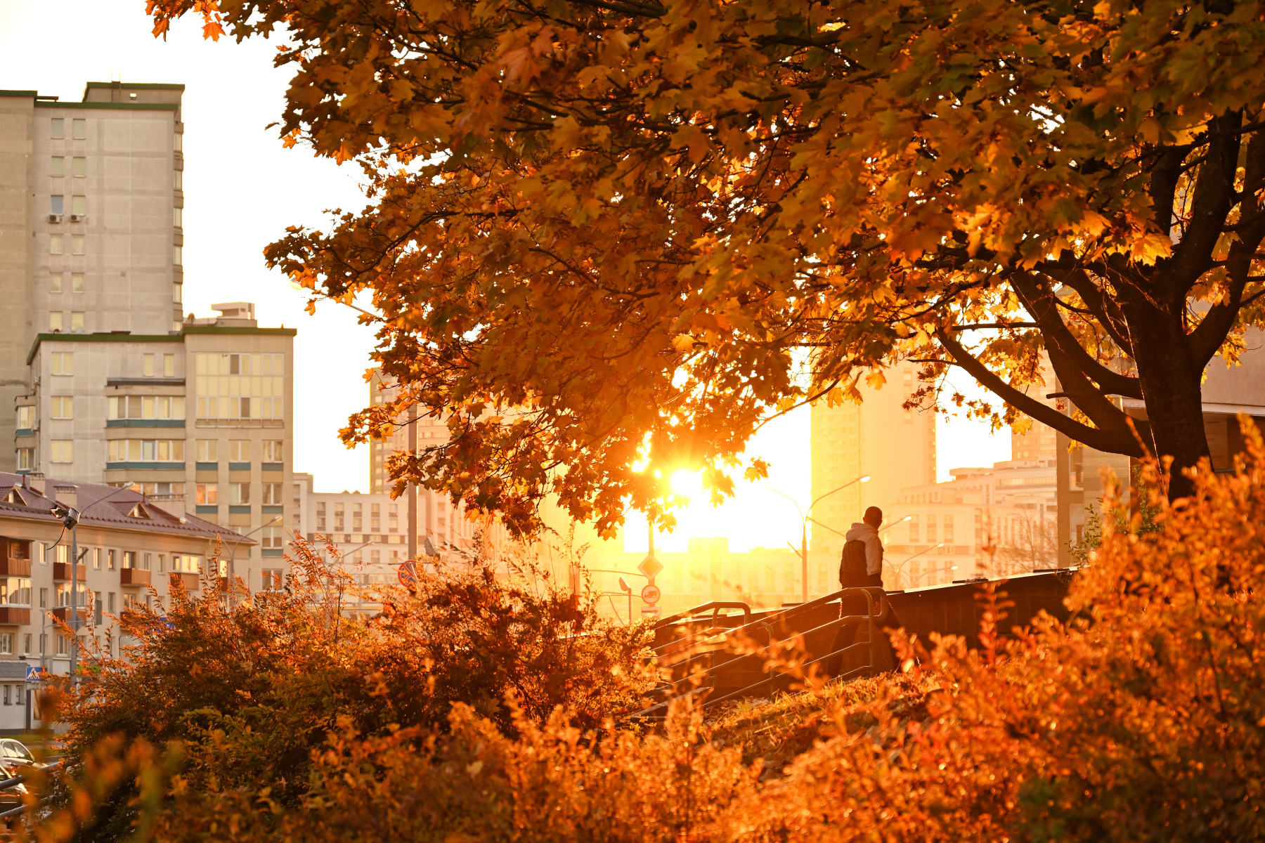 Атмосфера осени | foto.by фото.бай