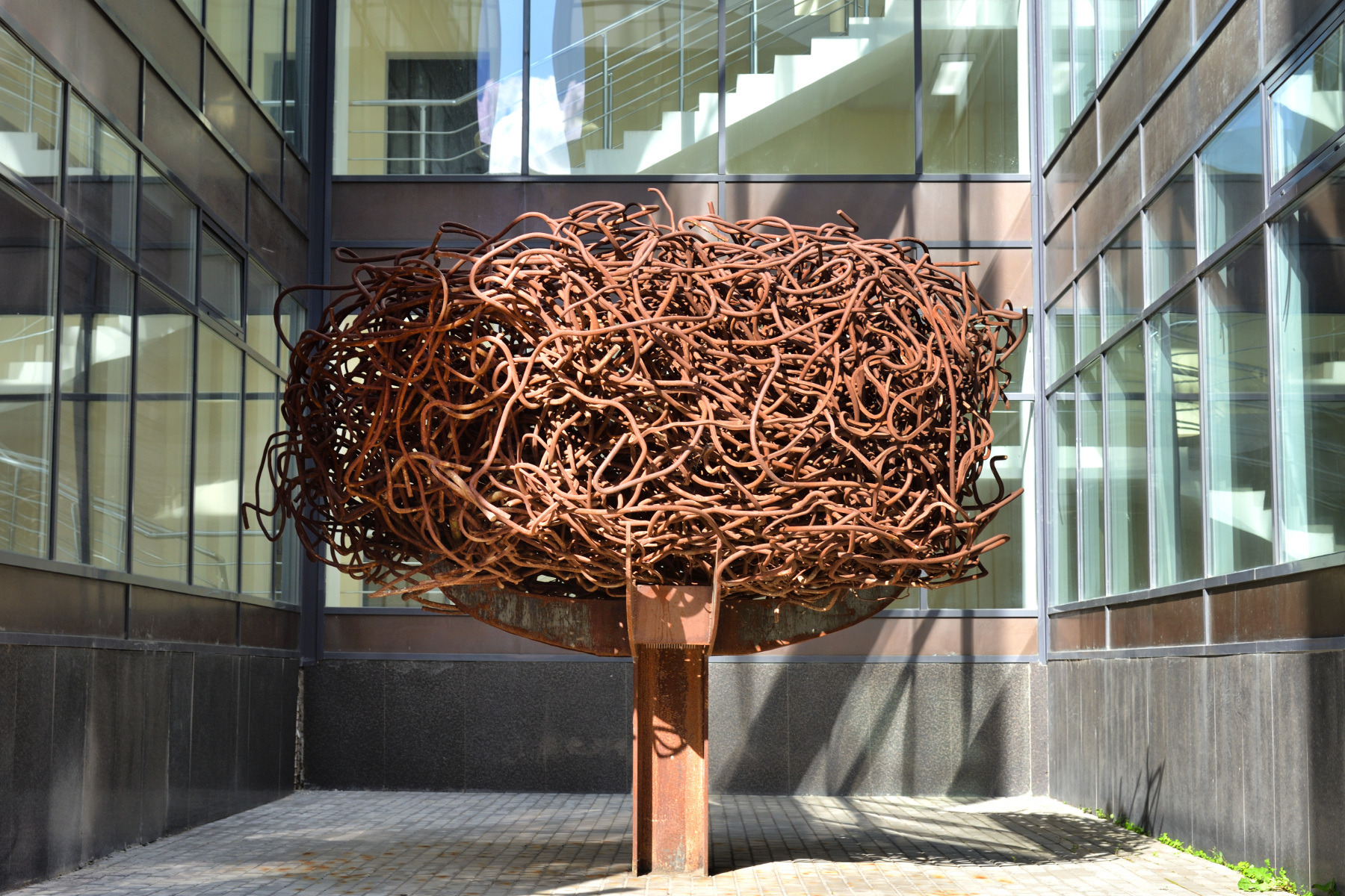 Железное дерево | Фотограф Александр Кузнецов | foto.by фото.бай