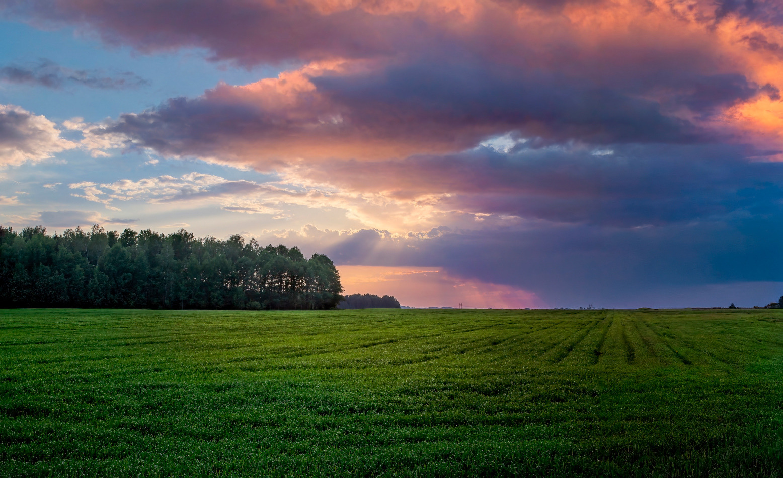 Про вечер | foto.by фото.бай
