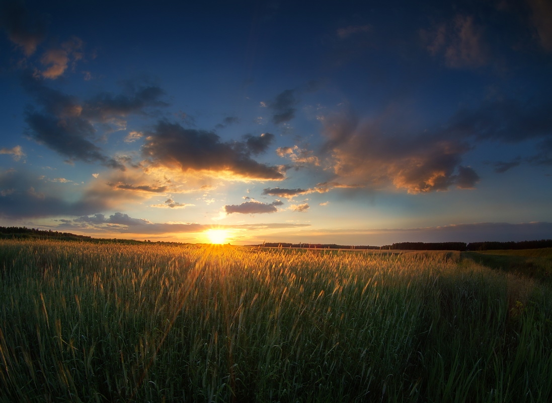 вечер, поле, облака | Фотограф Сергей Шляга | foto.by фото.бай