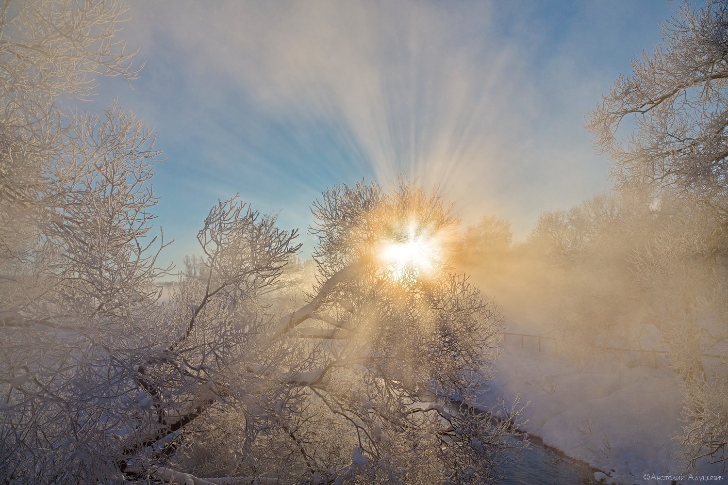 Морозное утро | Фотограф Анатолий Адуцкевич | foto.by фото.бай