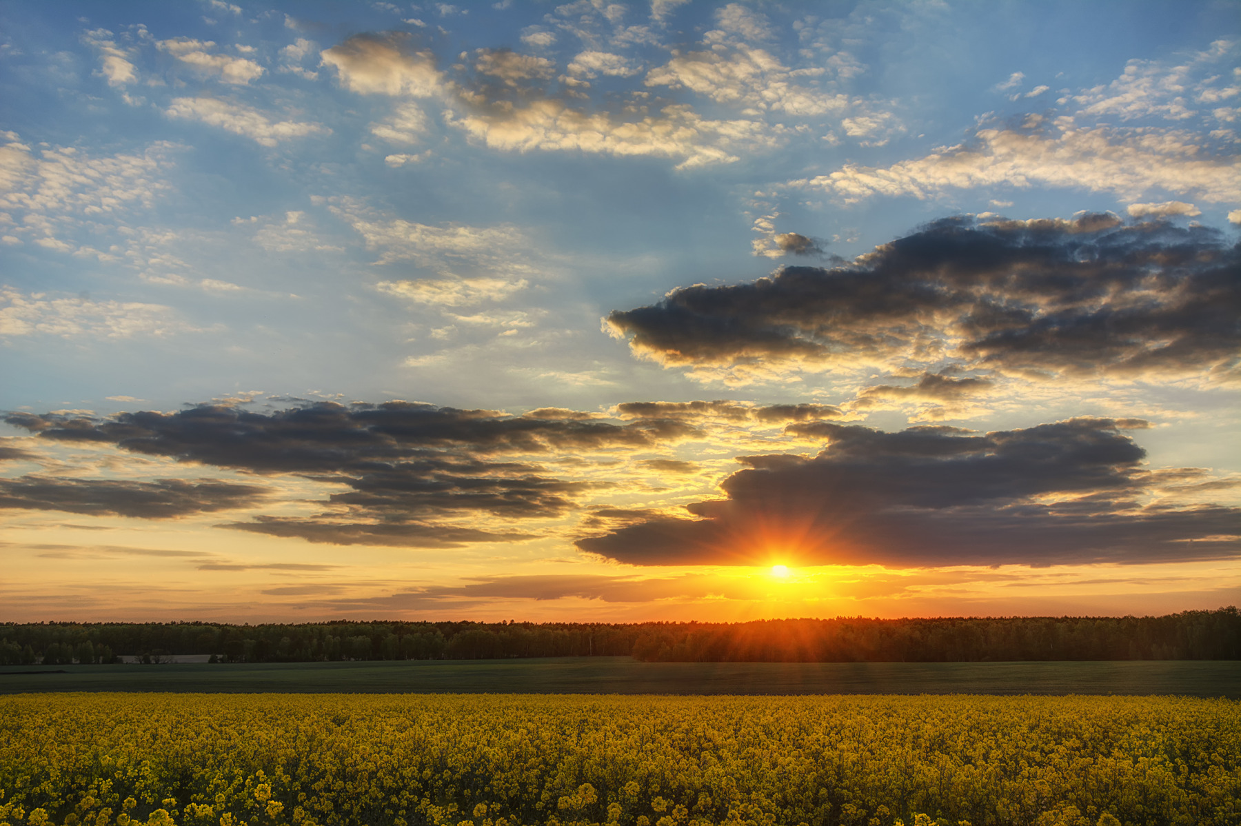 Закат над полями | Фотограф Сергей Дишук | foto.by фото.бай