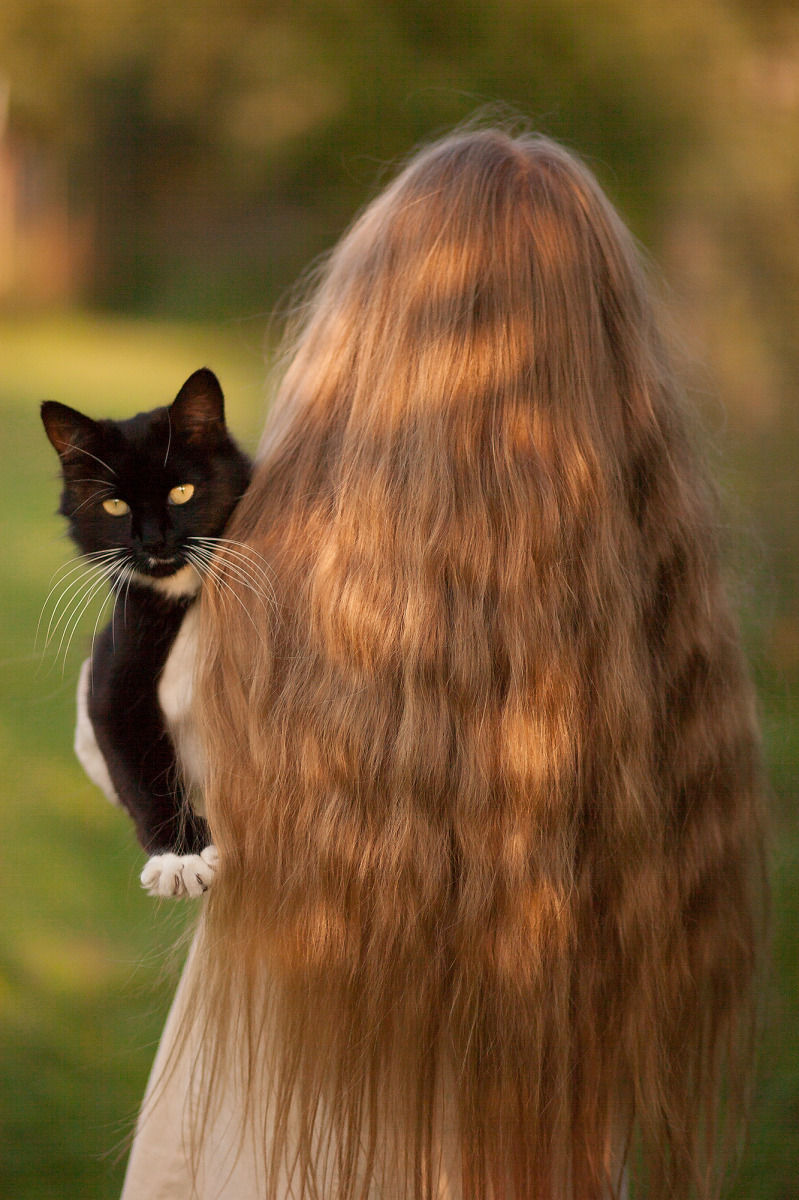 Кошка,которая гуляет сама по себе... | Фотограф Елена Юрчик | foto.by фото.бай