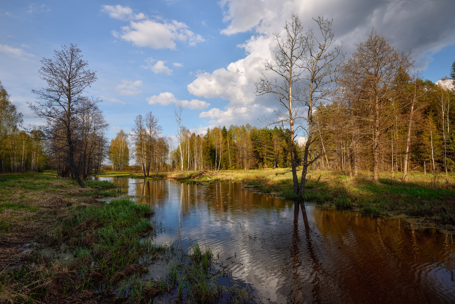 весенний пейзаж | Фотограф Виталий Полуэктов | foto.by фото.бай