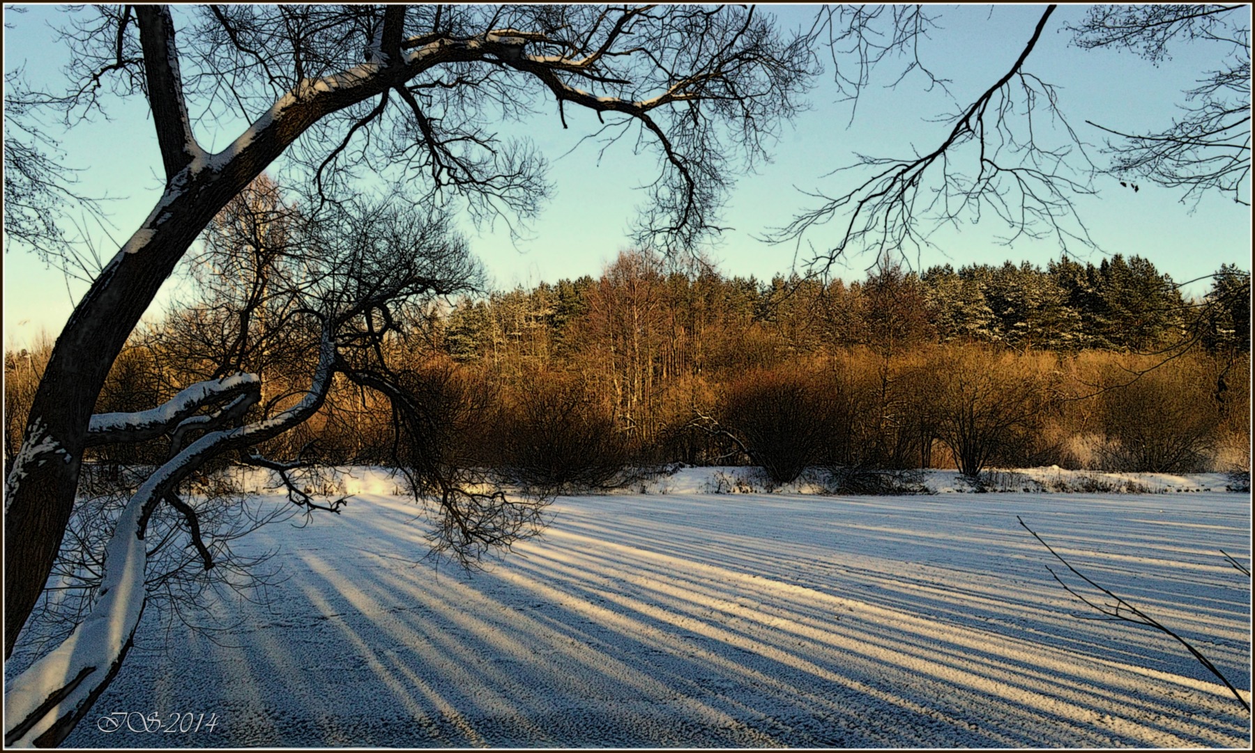 штрих-код  "зима" | Фотограф Игорь Сафонов | foto.by фото.бай
