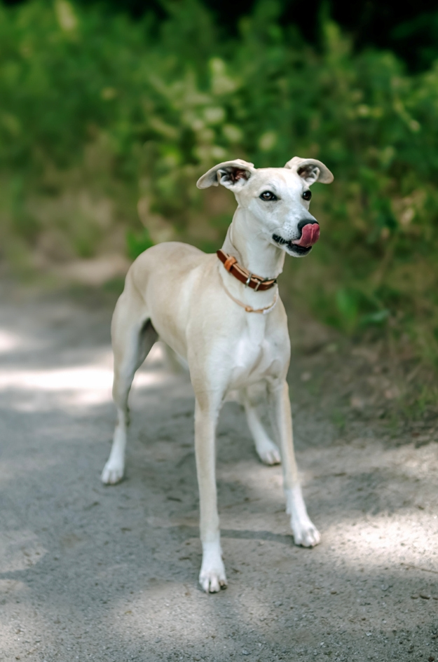 Фотограф Мария Войтик, фотография от 24.12.2025