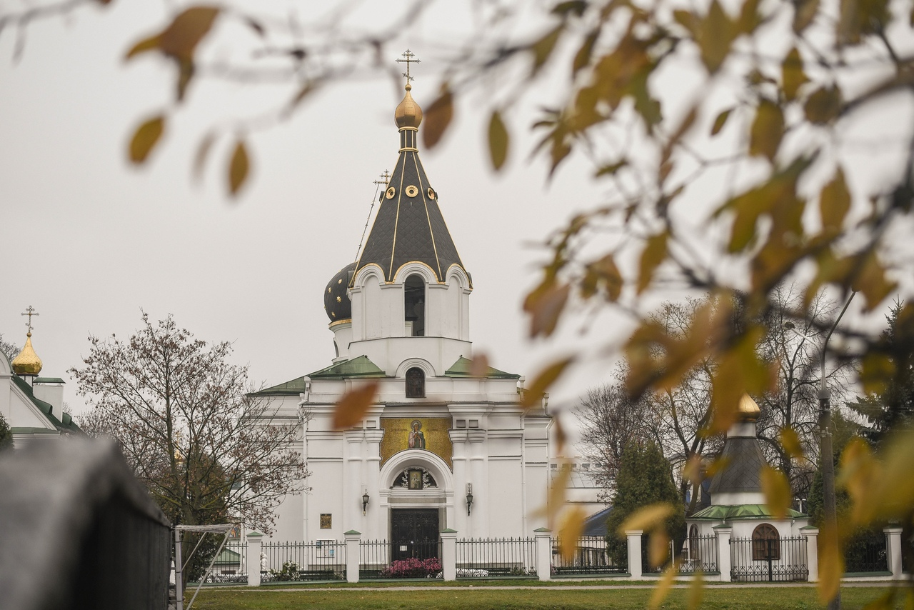 Фотограф Алёна Гнедько, фотография от 25.11.2019