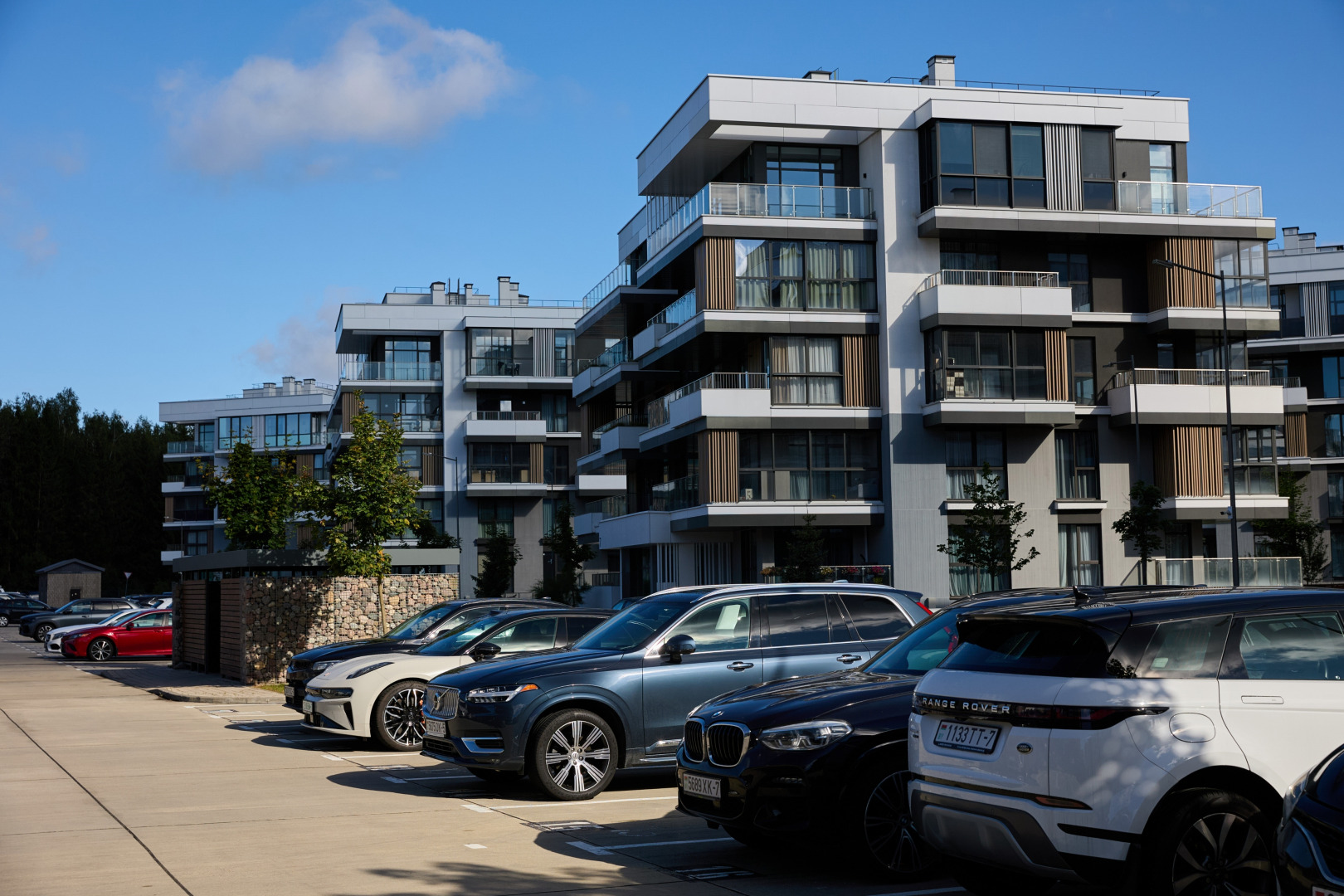 Фотограф Илья и Юлия Ширмановы, фотография от 17.12.2025