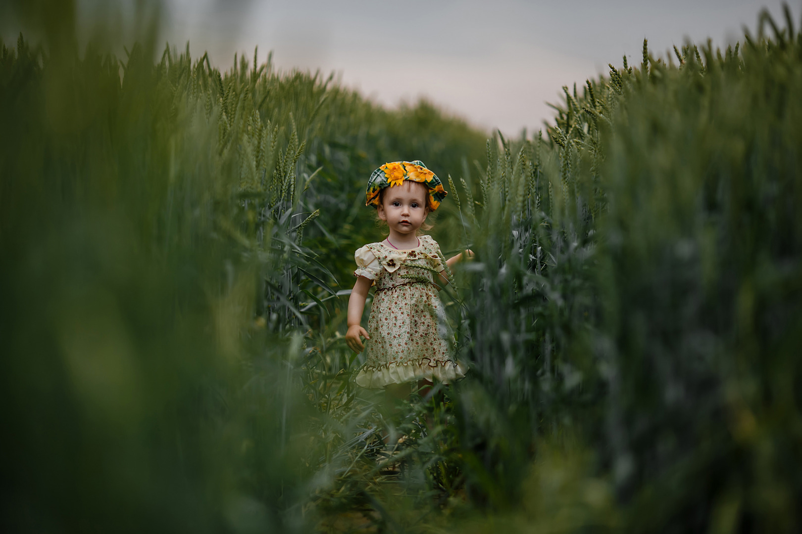 Фотограф Анастасия Лагуновская, фотография от 05.12.2025