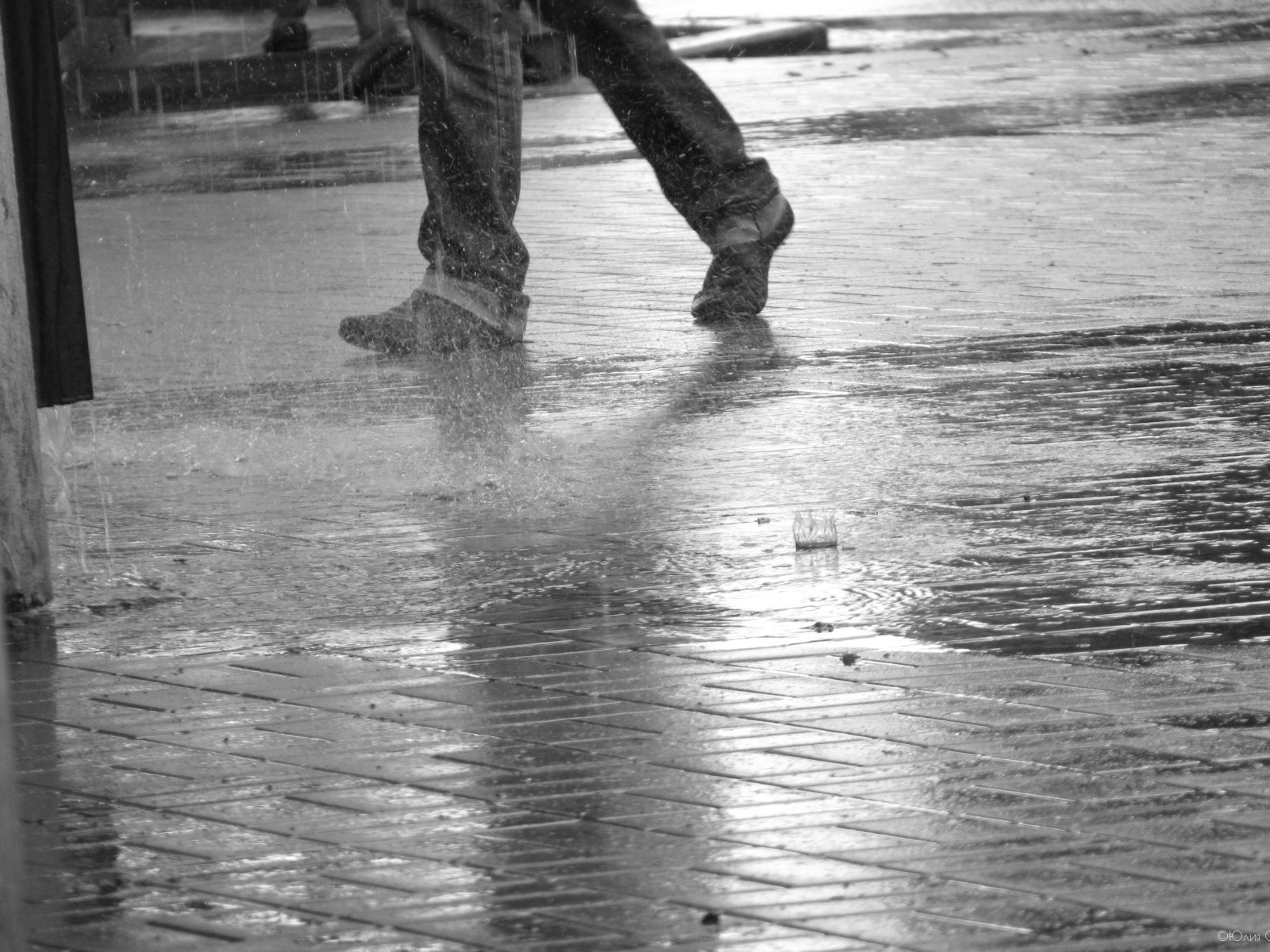 дождь | Фотограф Юлия C | foto.by фото.бай