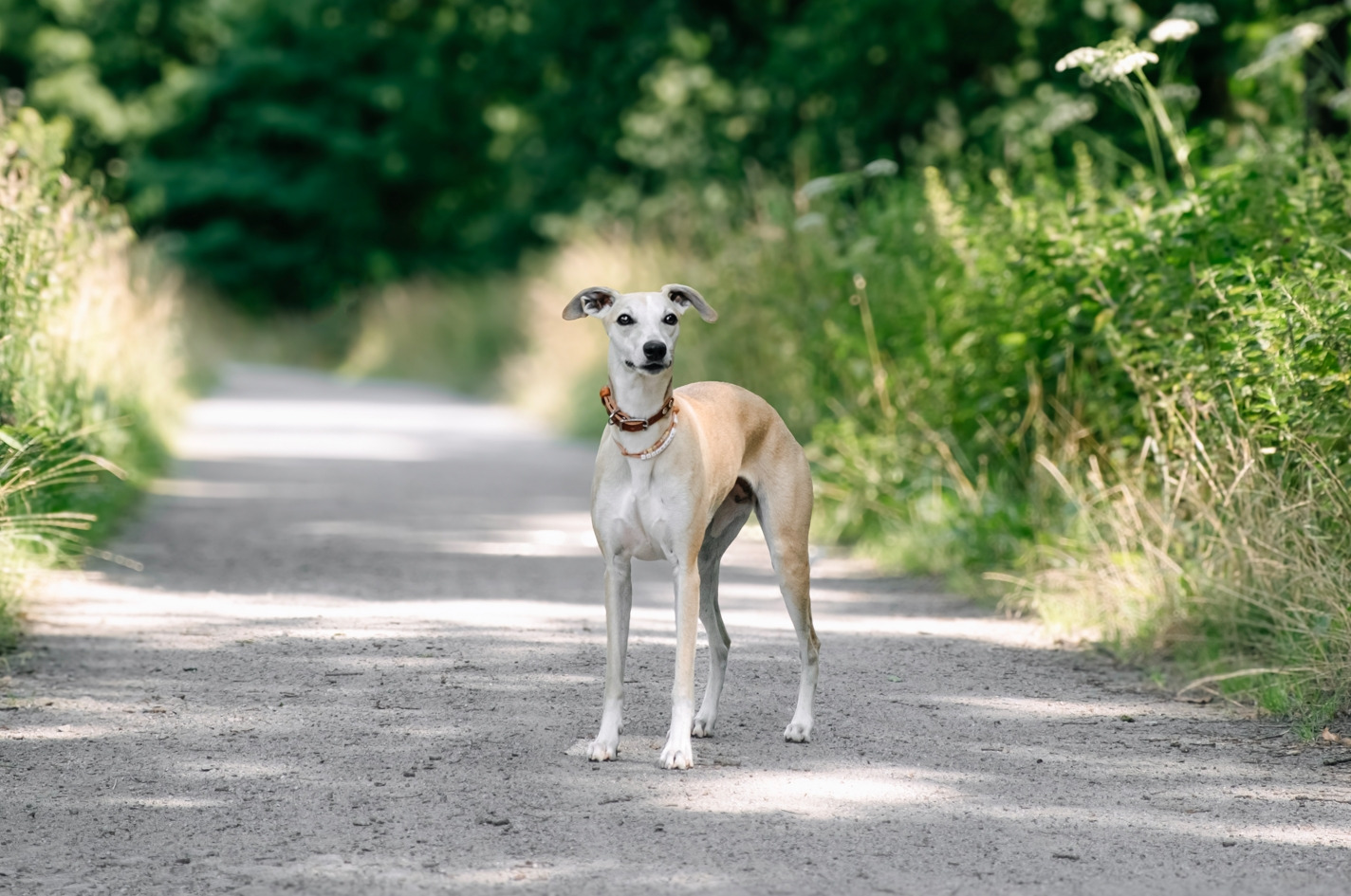 Фотограф Мария Войтик, фотография от 24.12.2025