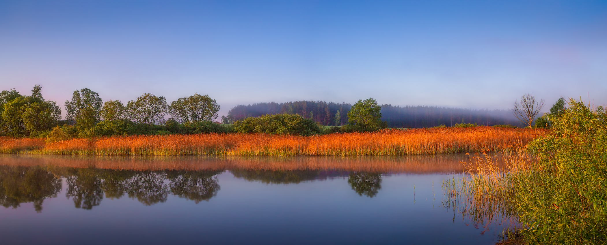 Утренняя панорама | Фотограф Сергей Шабуневич | foto.by фото.бай