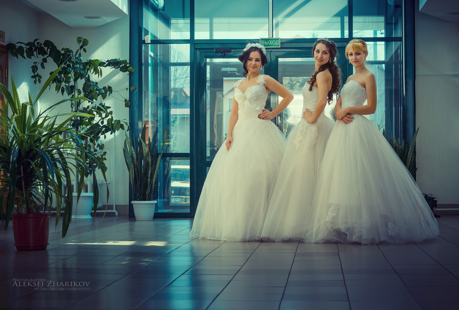 Невесты | Фотограф Алексей Жариков | foto.by фото.бай