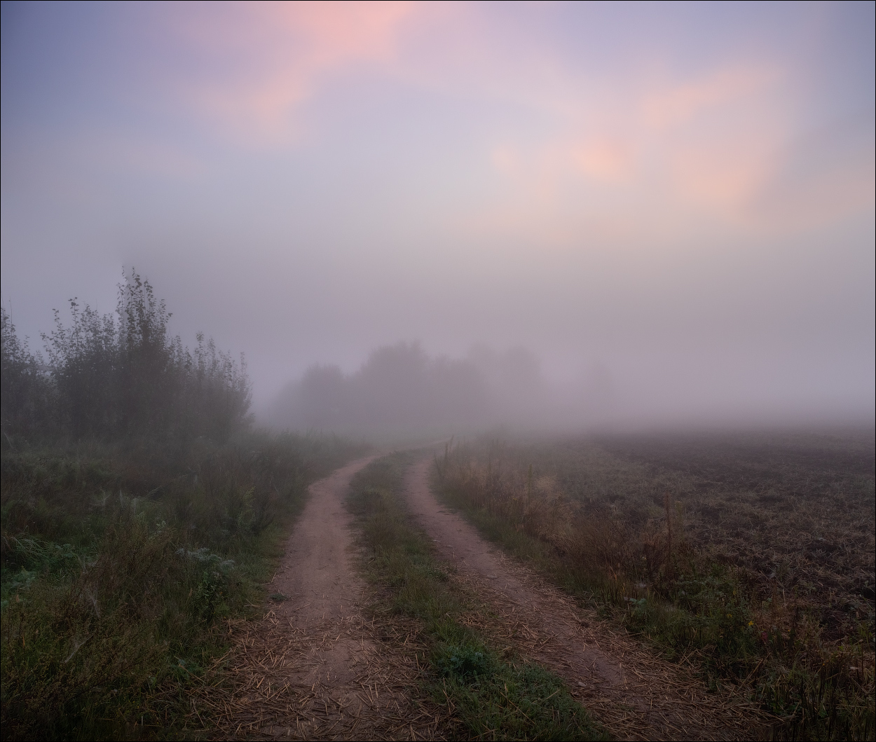 Как то в тумане | Фотограф Сергей Шабуневич | foto.by фото.бай