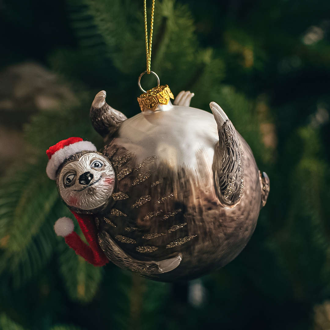 Фотограф Мария Войтик, фотография от 24.12.2025