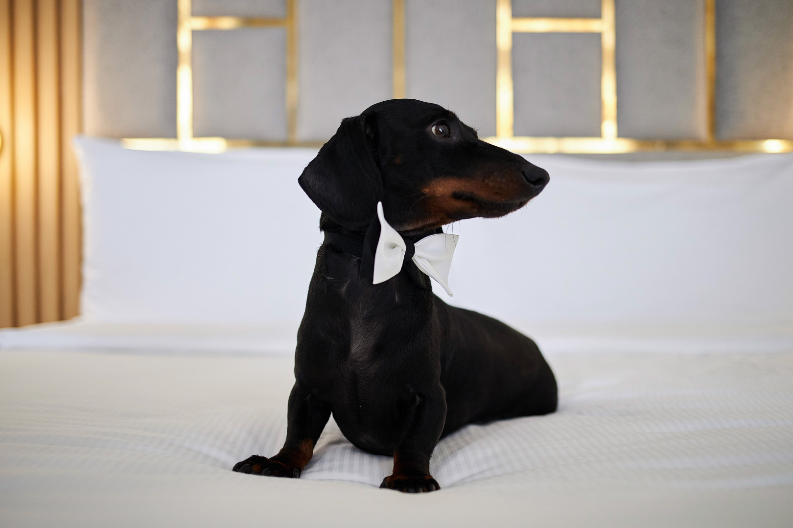 Фотограф Илья и Юлия Ширмановы, фотография от 17.12.2025