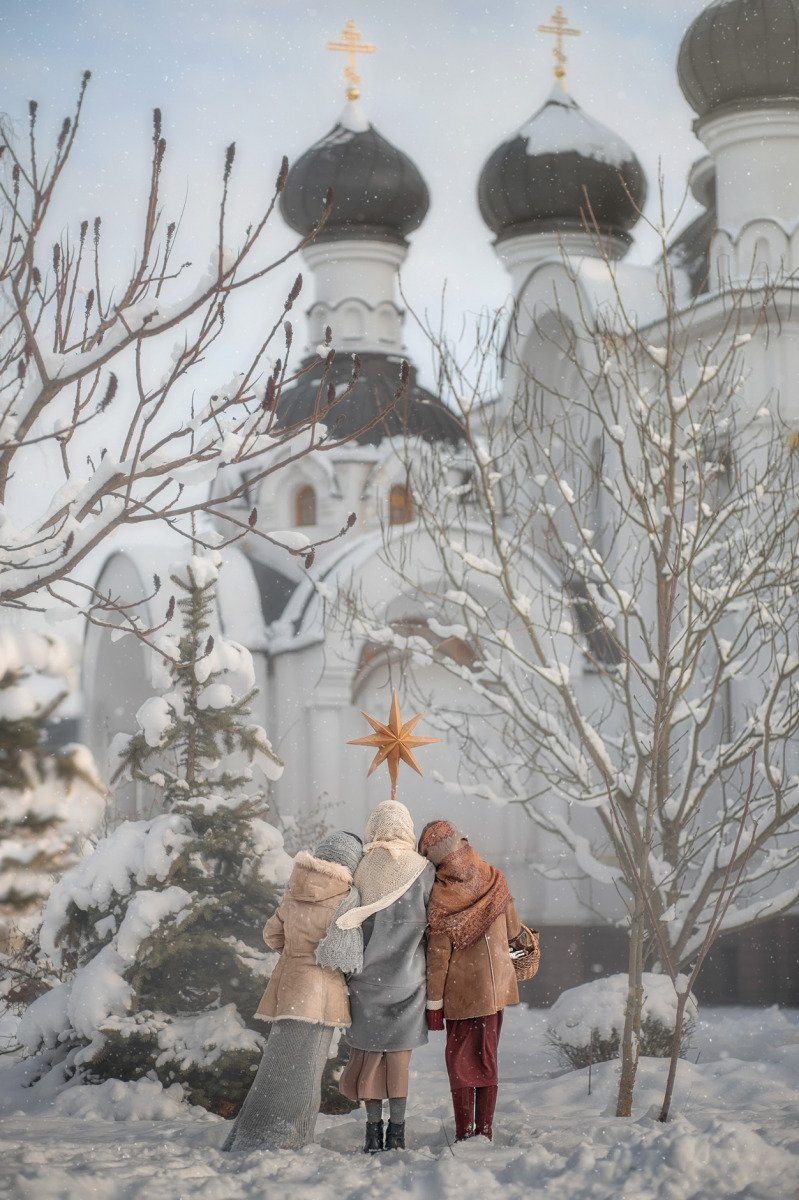 Рождественская звезда | Фотограф Анна Балабан | foto.by фото.бай